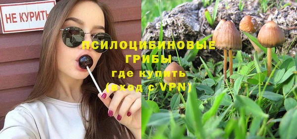 прущая мука Белоозёрский