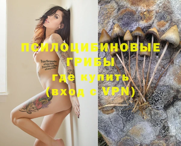 прущая мука Белоозёрский
