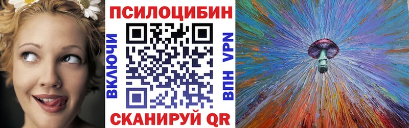 где продают   MEGA tor  Галлюциногенные грибы Psilocybe  Курлово 